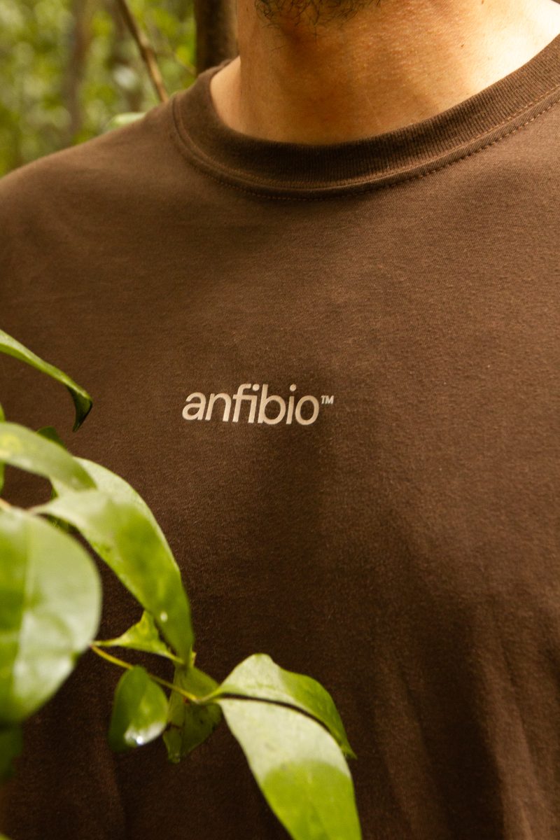 Anfibio (6)