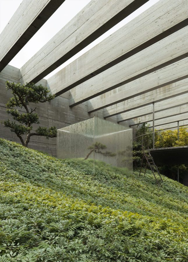 2023_house for plants_02